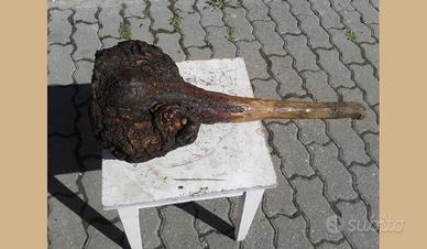 Particolare legno a forma di clava
