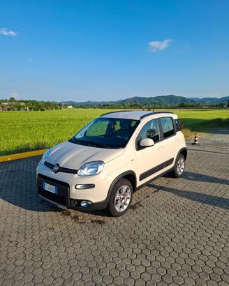 Fiat panda 4x4