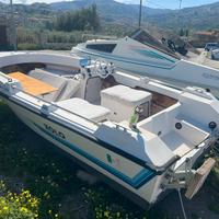 Eolo girasole 550