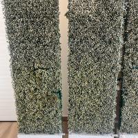 Siepe finta per divisione ambienti