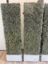 Siepe finta per divisione ambienti