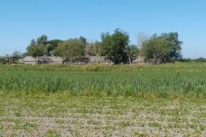 Capannone uso agricolo e terreno