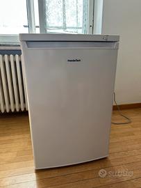 PremierTech PT91FR congelatore freezer verticale