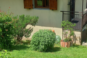 Monolocale per luglio e agosto