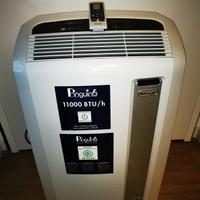 condizionatore pinguino DeLonghi 