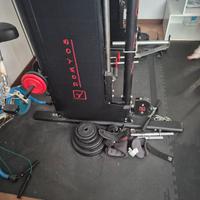 Palestra