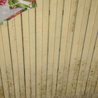 Radiatore in ghisa 15 elementi