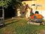 Immagine 12
