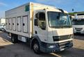 DAF LF 45.220 FRIGO MT5.10 FRCX 09-2026 EURO5