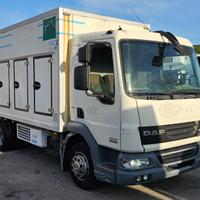 DAF LF 45.220 FRIGO MT5.10 FRCX 09-2026 EURO5