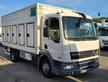 DAF LF 45.220 FRIGO MT5.10 FRCX 09-2026 EURO5
