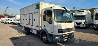 DAF LF 45.220 FRIGO MT5.10 FRCX 09-2026 EURO5