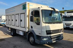 DAF LF 45.220 FRIGO MT5.10 FRCX 09-2026 EURO5