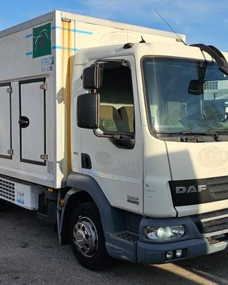DAF LF 45.220 FRIGO MT5.10 FRCX 09-2026 EURO5