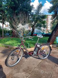 Bicicletta elettrica pedalata assistita city bike
