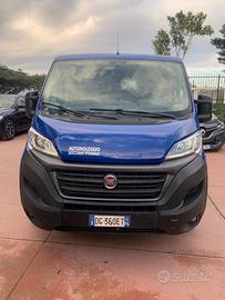 Fiat ducato 9 posti