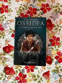 Libro “Ossidea- La guerra dei Giganti”