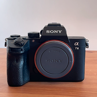 Sony a7iii mirrorless