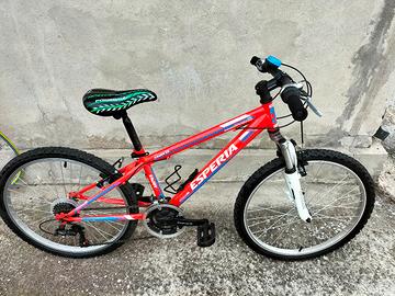 Bicicletta Mountain bike 24