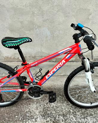 Bicicletta Mountain bike 24