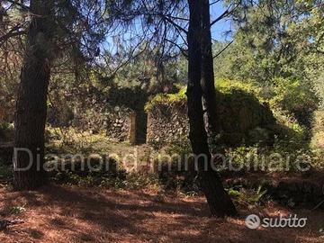 Terreno 20.000mq con fabbricato a Piedimonte Etneo