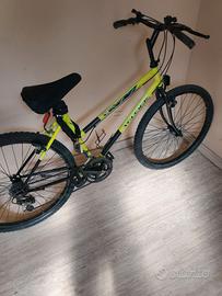 Bicicletta da uomo