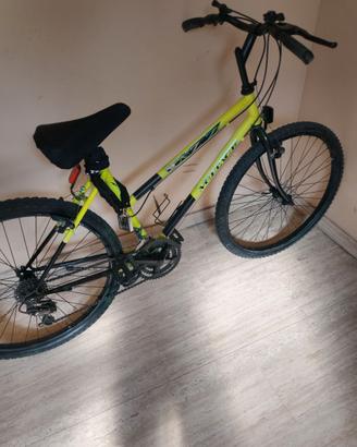 Bicicletta da uomo