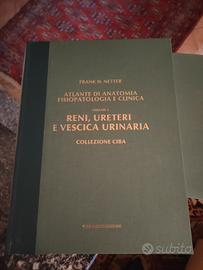 Atlante di Anatomia e fisiologica clinica Netter R