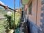 Immagine 15