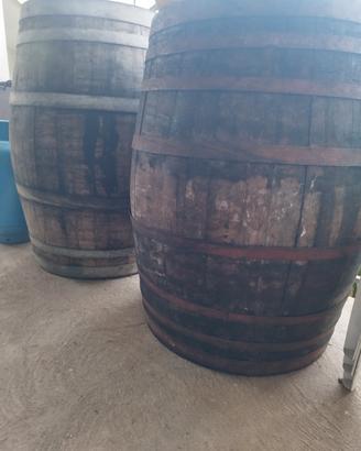 Botti in Legno 