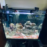 acquario completo di tutti gli accessori