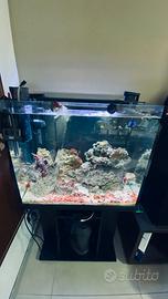 acquario completo di tutti gli accessori
