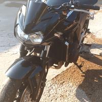 kawasaki z750 NAKED anno 2004
