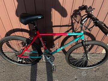 mountain bike