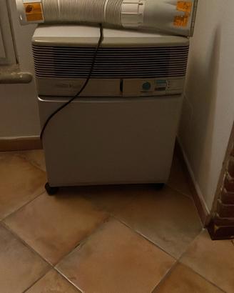 Condizionatore pinguino DeLonghi