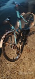 bicicletta da donna