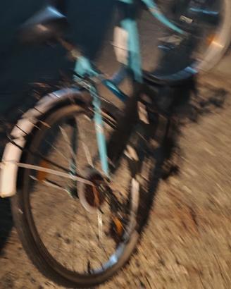 bicicletta da donna