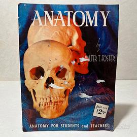 Anatomy americana vintage