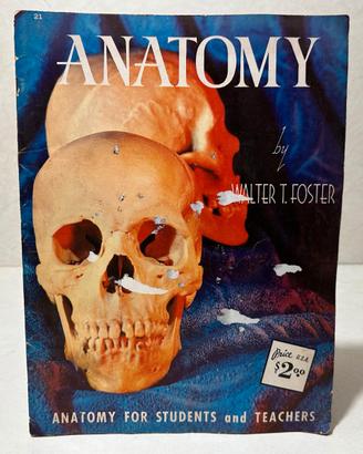 Anatomy americana vintage