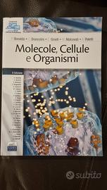 Molecole, Cellule e Organismi