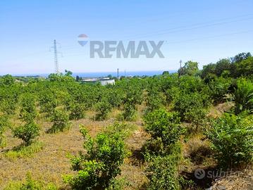 Terreno - Santa Venerina