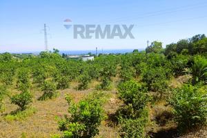 Terreno - Santa Venerina