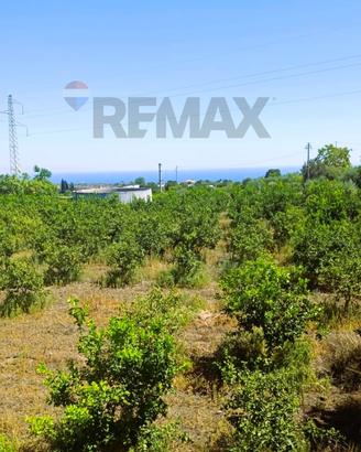 Terreno - Santa Venerina