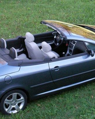 Peugeot 307 CC  interni pelle - cruise control
