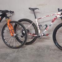 mtb carbonio L