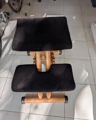Sedia ergonomica VARIER originale