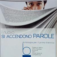 Il nuovo si accendono parole vol.2