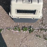 Trasportino auto cane