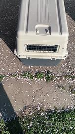 Trasportino auto cane