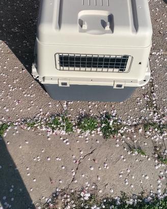 Trasportino auto cane